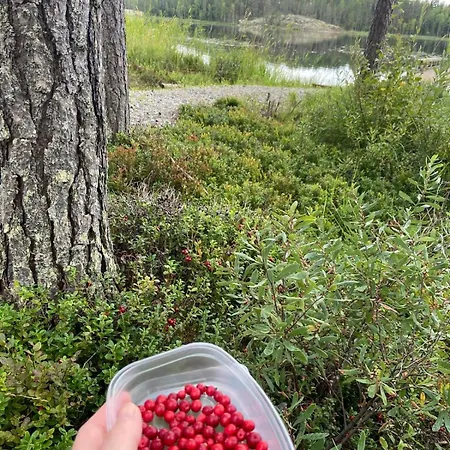 Huvilat Roihula